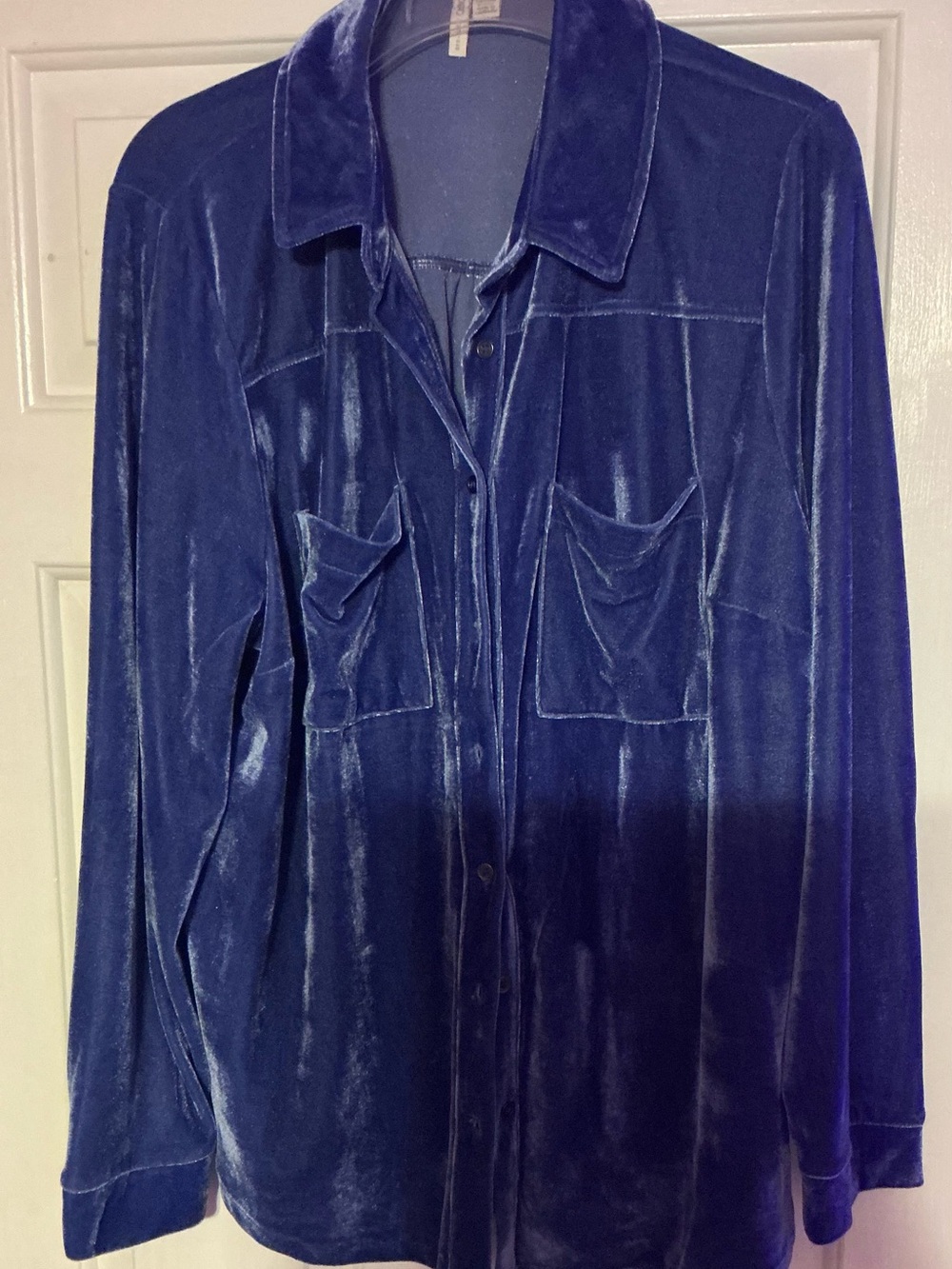 Cato Velvet Blouse in Royal Blue